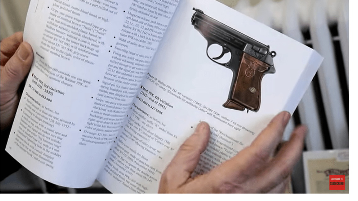 let-s-skim-through-the-pages-a-bit.png
